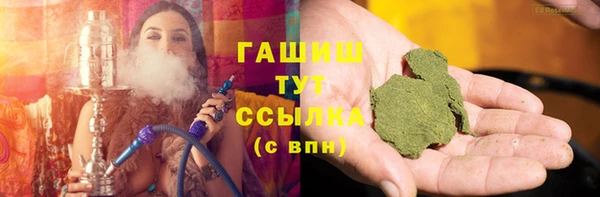 ECSTASY Бородино